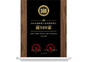 2025ʯ�ͺͻ�����ҵ��������ǰ500��